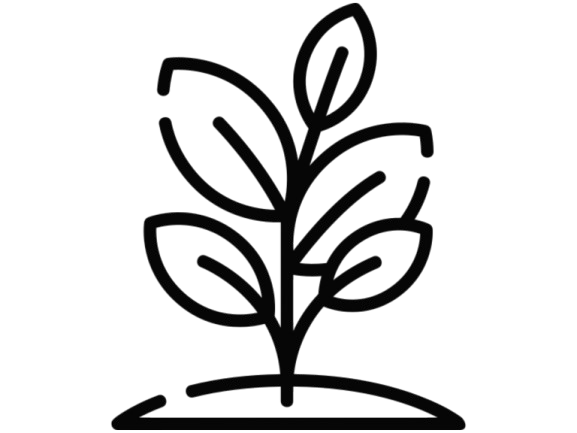 Pure Glory Marketing CMO partner icon